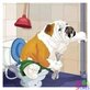 Hunde