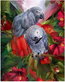 Diamond Painting Vögel
