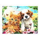 On Demand Katten & Honden