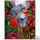 Diamond Painting Papageien