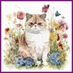 Diamond Painting Katze Exotisch