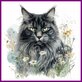 Diamond Painting Katze Maine Coon
