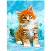 Diamond Painting Rood katje