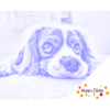 HappyDots DOT Painting Schattig Hondje 30x40cm - Stippelschilderij Blauw