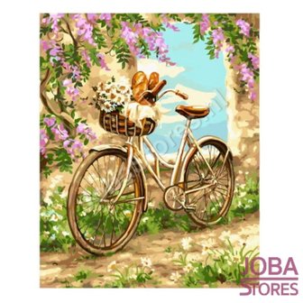 Schilderen op nummer Fiets met bloemen 40x50cm