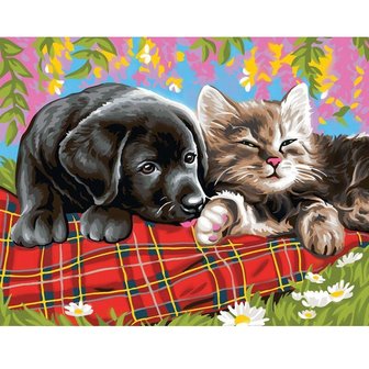 Diamond Painting Katze und Hund 30x40cm