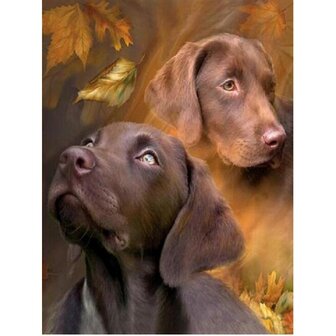 Diamond Painting Hond - Labrador 03
