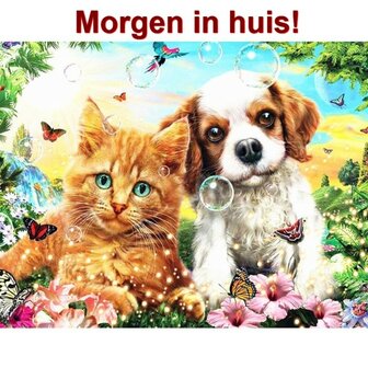 Diamond Painting Kitten en Puppy