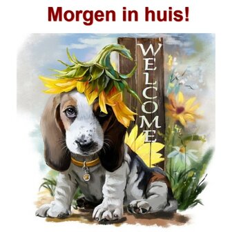 Diamond Painting Welcome Dog