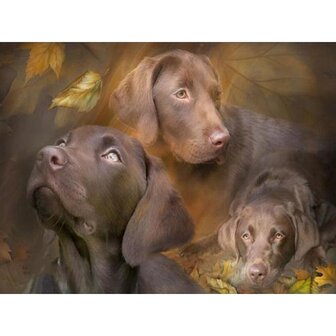 Diamond Painting Hond - Labrador 06