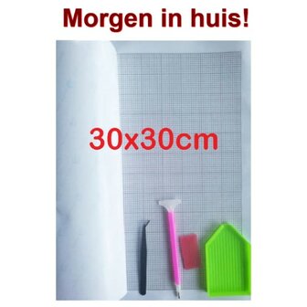 Diamond Painting Leere Leinwand + toolkit 30x30cm