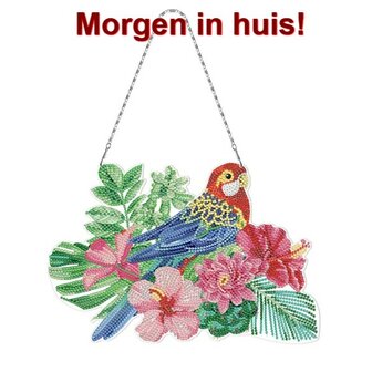 Diamond Painting Hangend Ornament Vogel (30cm)