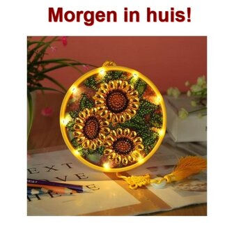 Diamond Painting Wandornament Zonnebloemen met verlichting