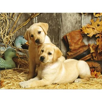 Diamond Painting Hondjes - Labrador puppies