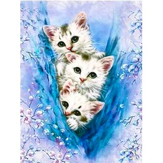 Diamond Painting Drie witte kittens
