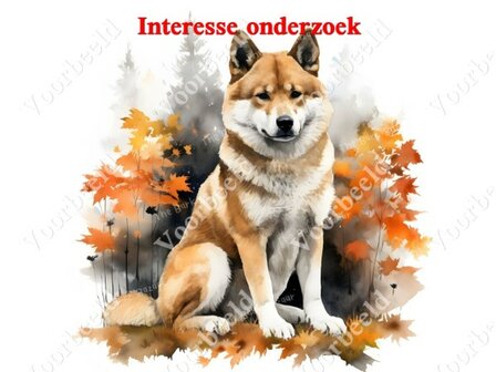 Diamond Painting interesse onderzoek