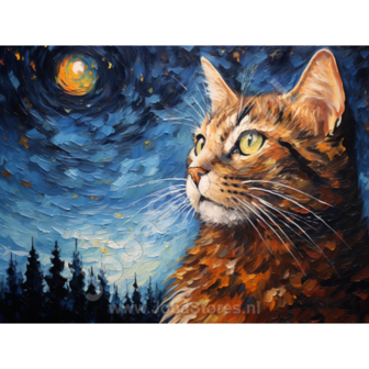 Diamond Painting Sterrennacht Kat 