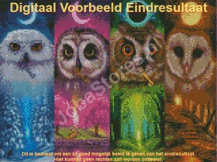 Diamond Painting Eulen 4 Jahreszeiten 40x30cm