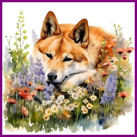 Diamond Painting Akita met bloemen