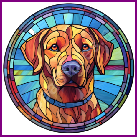 Diamond Painting Glas in lood Hond - Labrador Retriever