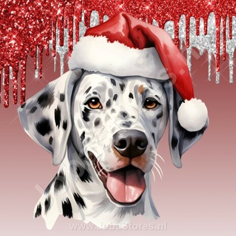 Diamond Painting Dalmatier met Kerstmuts 