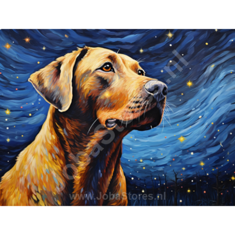 Diamond Painting Sterrennacht Hond