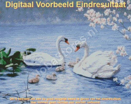 Digitaal voorbeeld Diamond Painting Zwanen 50x40cm