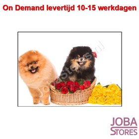 On Demand Diamond Painting 0126