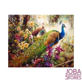 Gemälde nach Nummer Peacock 03 40x50cm