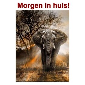 Diamond Painting Elefant in der Dämmerung 30x40cm
