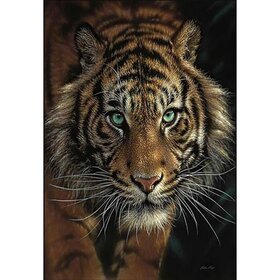 Diamond Painting Tiger Portrait 03 (Größe und Form der Steine ​​nach Wahl)