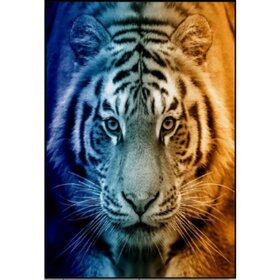 Diamond Painting Tiger Portrait 04 (Größe und Form der Steine ​​nach Wahl)