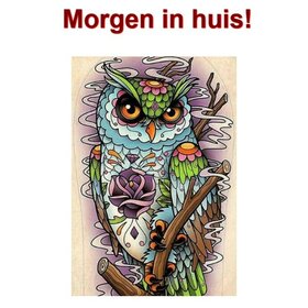 Diamond Painting Uil 40x55cm - Rond