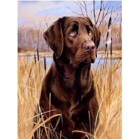 Diamond Painting Hund - Labrador 01 (Größe und Form der Steine ​​nach Wahl)
