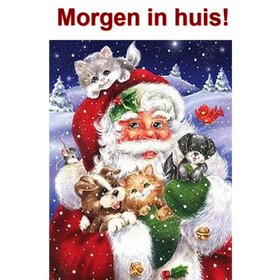 Diamond Painting Weihnachtsmann mit Kätzchen und Welpen 30x40cm