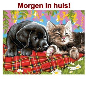Diamond Painting Katze und Hund 30x40cm