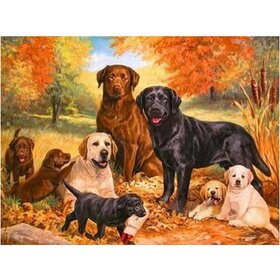 Diamond Painting Hund - Labrador 04 (Größe und Form der Steine ​​nach Wahl)