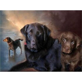 Diamond Painting Hund - Labrador 05 (Größe und Form der Steine ​​nach Wahl)