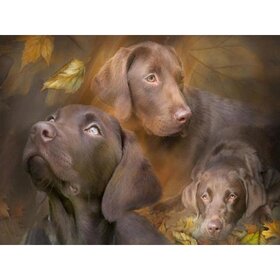 Diamond Painting Hund - Labrador 06 (Größe und Form der Steine ​​nach Wahl)