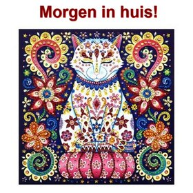 Spezielle Diamantmalerei Katze 25x25cm