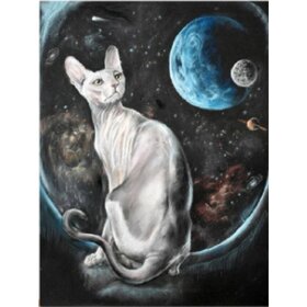 Diamantmalerei „Weiße nackte Katze“ (Größe und Form der Steine ​​nach Wahl)