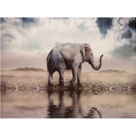 Diamond Painting Elefant 01 (Größe und Form der Steine ​​nach Wahl)