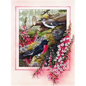 Diamond Painting Malerische Vögel 05 (Größe und Form der Steine ​​nach Wahl)