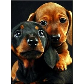 Diamond Painting Hund - Dackel 02 (Größe und Form der Steine nach Wahl)