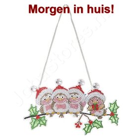 Diamond Painting Hängende Weihnachtskugel Vögel mit Weihnachtsmütze (22cm)