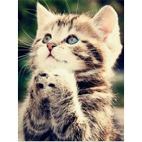 Diamond Painting Betendes Kätzchen (Größe und Form der Steine ​​nach Wahl)