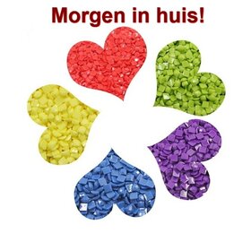 Diamond Painting Komplettset Quadratische Steine (+-447 Beutel)