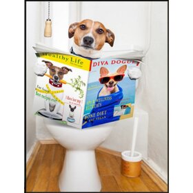 Diamond Painting Toilettenhund Jack Russell (Größe und Form der Steine ​​nach Wahl)