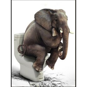 Diamond Painting Toilette Elefant (Größe und Form der Steine ​​nach Wahl)