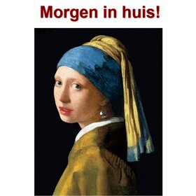 Diamond Painting Mädchen mit der Perle 30x40cm